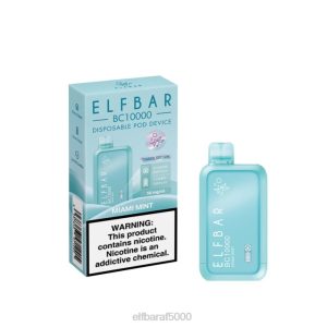ELFBAR BC10000 ואפי חד פעמי מיאמי מנטה 084D293 - Elf Bar מחיר